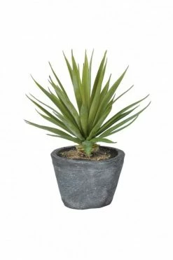 The Home Collection Faux Air Plant In Grey Pot