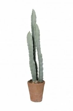 The Home Collection Totem Pole Cactus In A Terracotta Pot