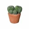 The Home Collection Barrel Cactus In Terracotta Garden Pot 1 The Home Collection Barrel Cactus In Terracotta Garden Pot