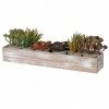 The Home Collection Set Of 6 Assorted Potted Faux Succulents In Rustic 1 The Home Collection Set Of 6 Assorted Potted Faux Succulents In Rustic