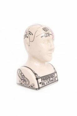 The Home Collection Large Crackle Phrenology Head