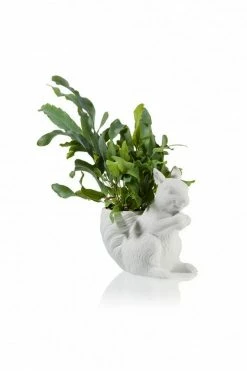 The Home Collection Squirrel Planter