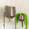 The Home Collection Skittle Hanging Planter 1 The Home Collection Skittle Hanging Planter
