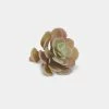 The Home Collection Echeveria Succulent Napkin Ring In Green And Pink 1 The Home Collection Echeveria Succulent Napkin Ring In Green And Pink