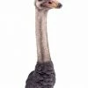 The Home Collection Ostrich Head Wall Figure 2 The Home Collection Ostrich Head Wall Figure