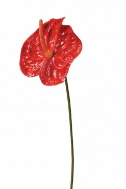 The Home Collection Faux Red Anthurium Spray