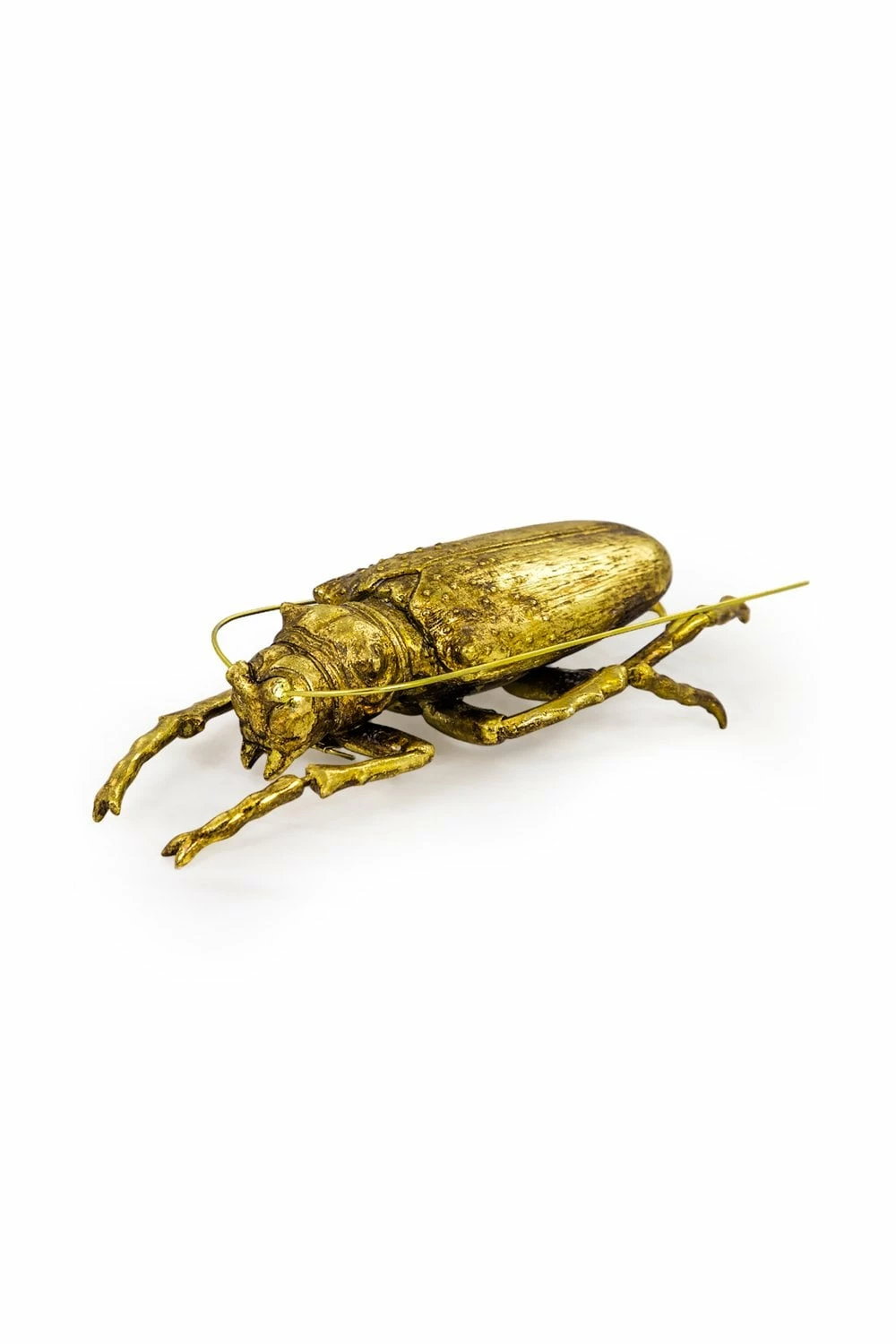 The Home Collection Large Gold Spotted Beetle Wall Decor 4 The Home Collection Large Gold Spotted Beetle Wall Decor