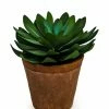 The Home Collection Faux Round Succulent In Terracotta Pot 1 The Home Collection Faux Round Succulent In Terracotta Pot