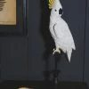 The Home Collection White Cockatoo On Perch Figure 1 The Home Collection White Cockatoo On Perch Figure