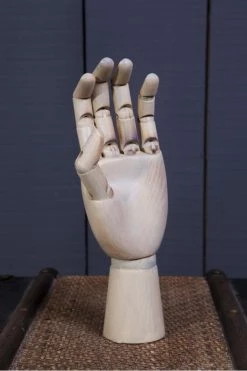 The Home Collection Flexible Hand