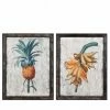 The Home Collection Set Of 2 Botanical Pictures 2 The Home Collection Set Of 2 Botanical Pictures