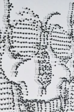 The Home Collection Carpe Diem Statement Pin Framed Canvas