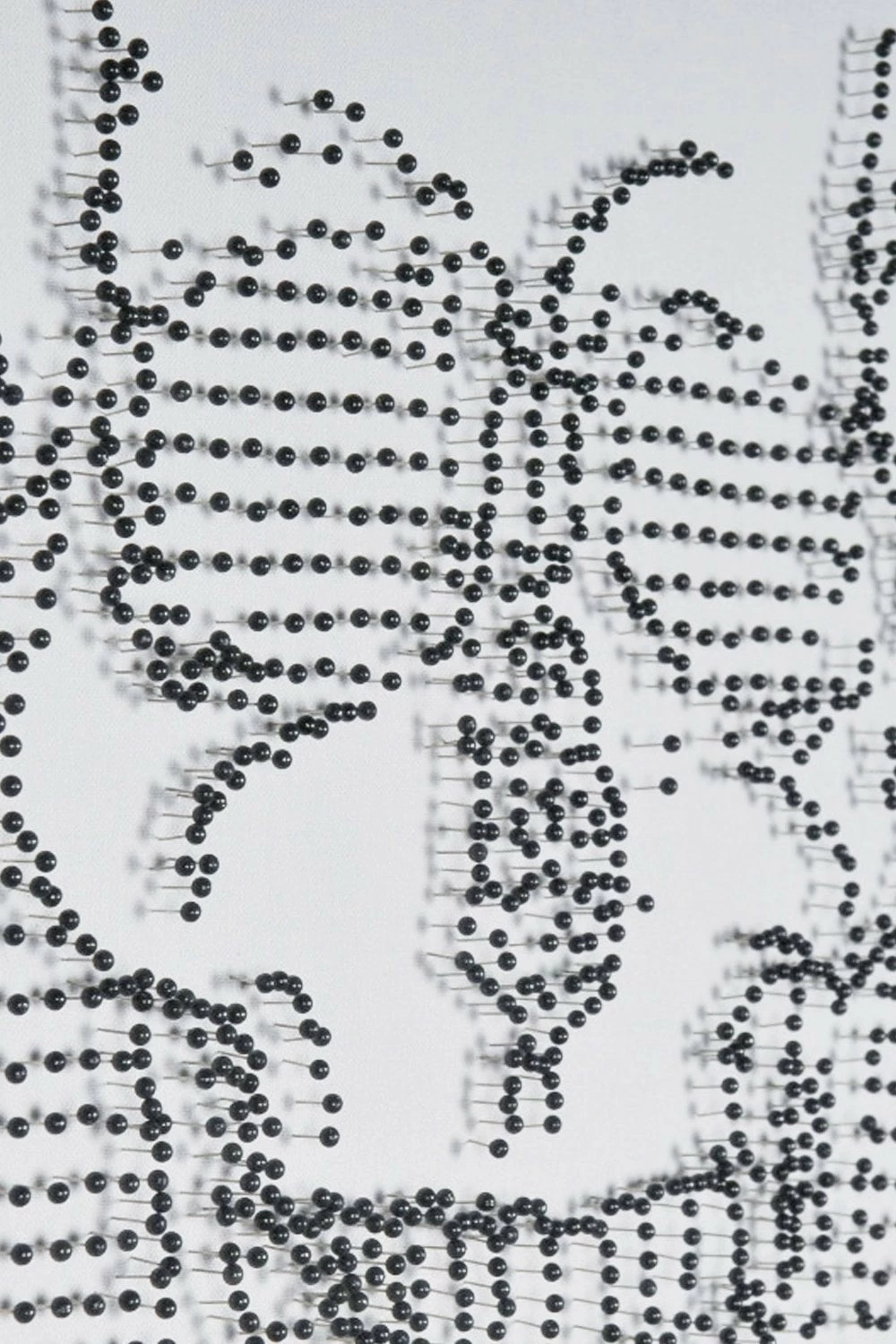 The Home Collection Carpe Diem Statement Pin Framed Canvas 4 The Home Collection Carpe Diem Statement Pin Framed Canvas