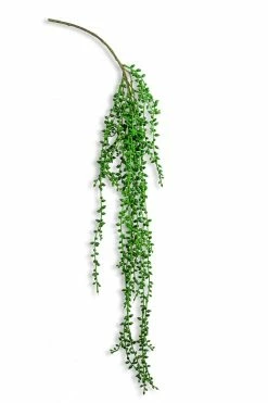 The Home Collection Hanging Vine