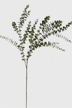 The Home Collection Faux Baby Leaf Eucalyptus Spray