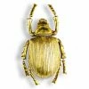 The Home Collection Large Gold Striped Beetle Wall Decor 1 The Home Collection Large Gold Striped Beetle Wall Decor