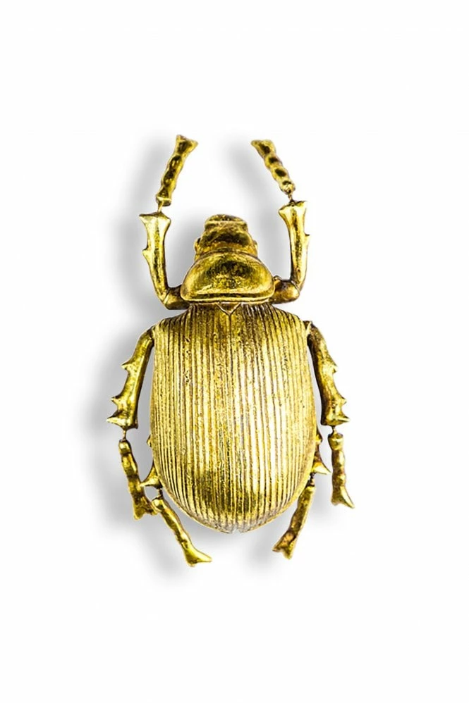 The Home Collection Large Gold Striped Beetle Wall Decor 3 The Home Collection Large Gold Striped Beetle Wall Decor