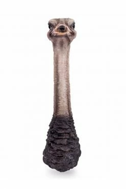 The Home Collection Ostrich Head Wall Figure