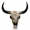 The Home Collection Large Bison Design Skull Wall Head 1 The Home Collection Large Bison Design Skull Wall Head