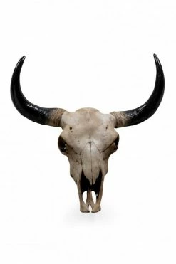 The Home Collection Large Bison Design Skull Wall Head