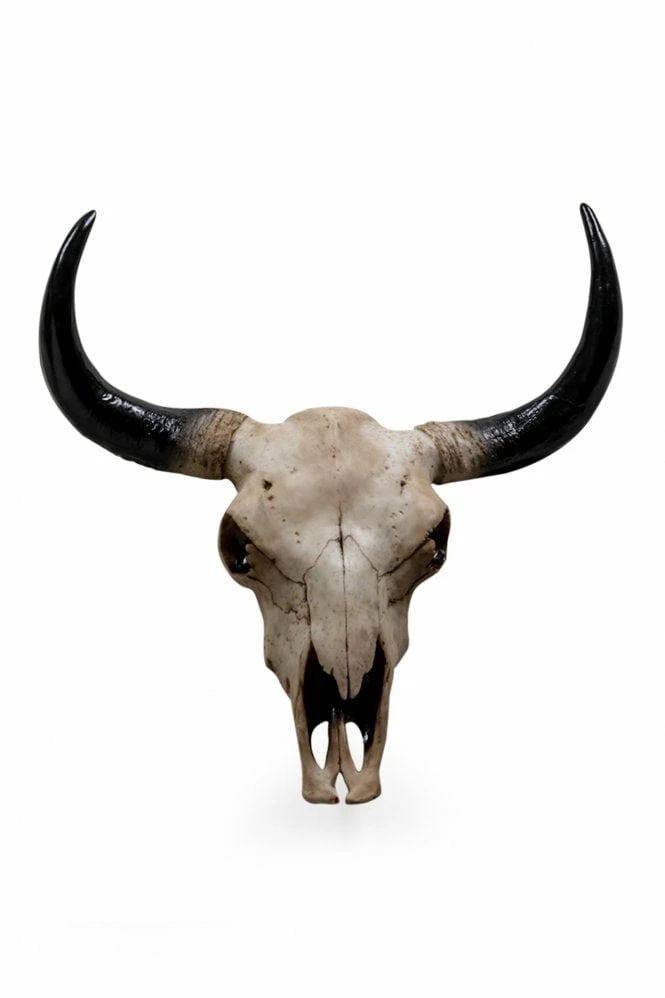 The Home Collection Large Bison Design Skull Wall Head 3 The Home Collection Large Bison Design Skull Wall Head