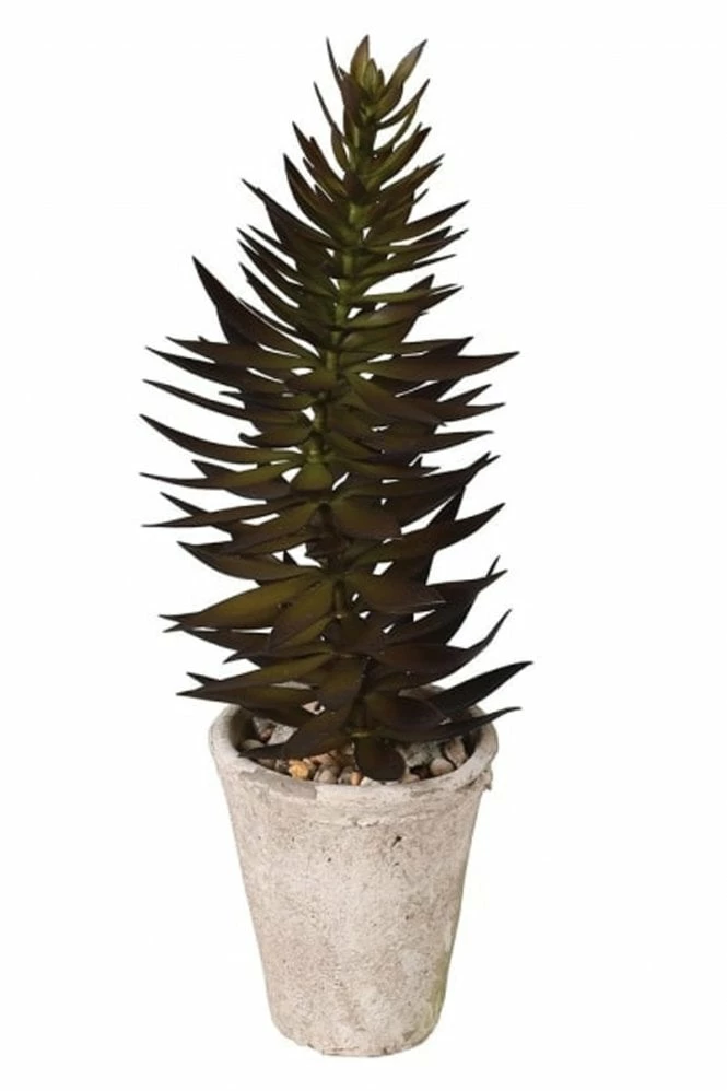 The Home Collection Green Potted Pagoda Succulent 3 The Home Collection Green Potted Pagoda Succulent