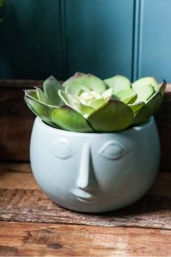 The Home Collection Green Pagan Face Planter