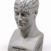 The Home Collection Large Antiqued Ceramic Phrenology Head 1 The Home Collection Large Antiqued Ceramic Phrenology Head