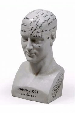 The Home Collection Large Antiqued Ceramic Phrenology Head