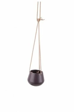 The Home Collection Skittle Hanging Planter