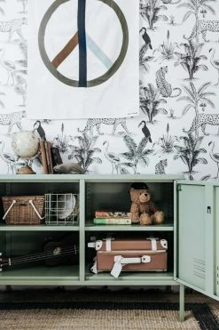 The Home Collection The Lowdown Locker