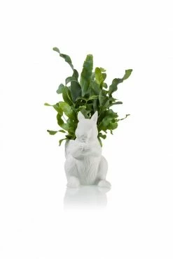 The Home Collection Squirrel Planter