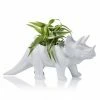 The Home Collection Tricerapot Dinosaur Plant Pot