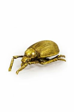 The Home Collection Large Gold Striped Beetle Wall Decor