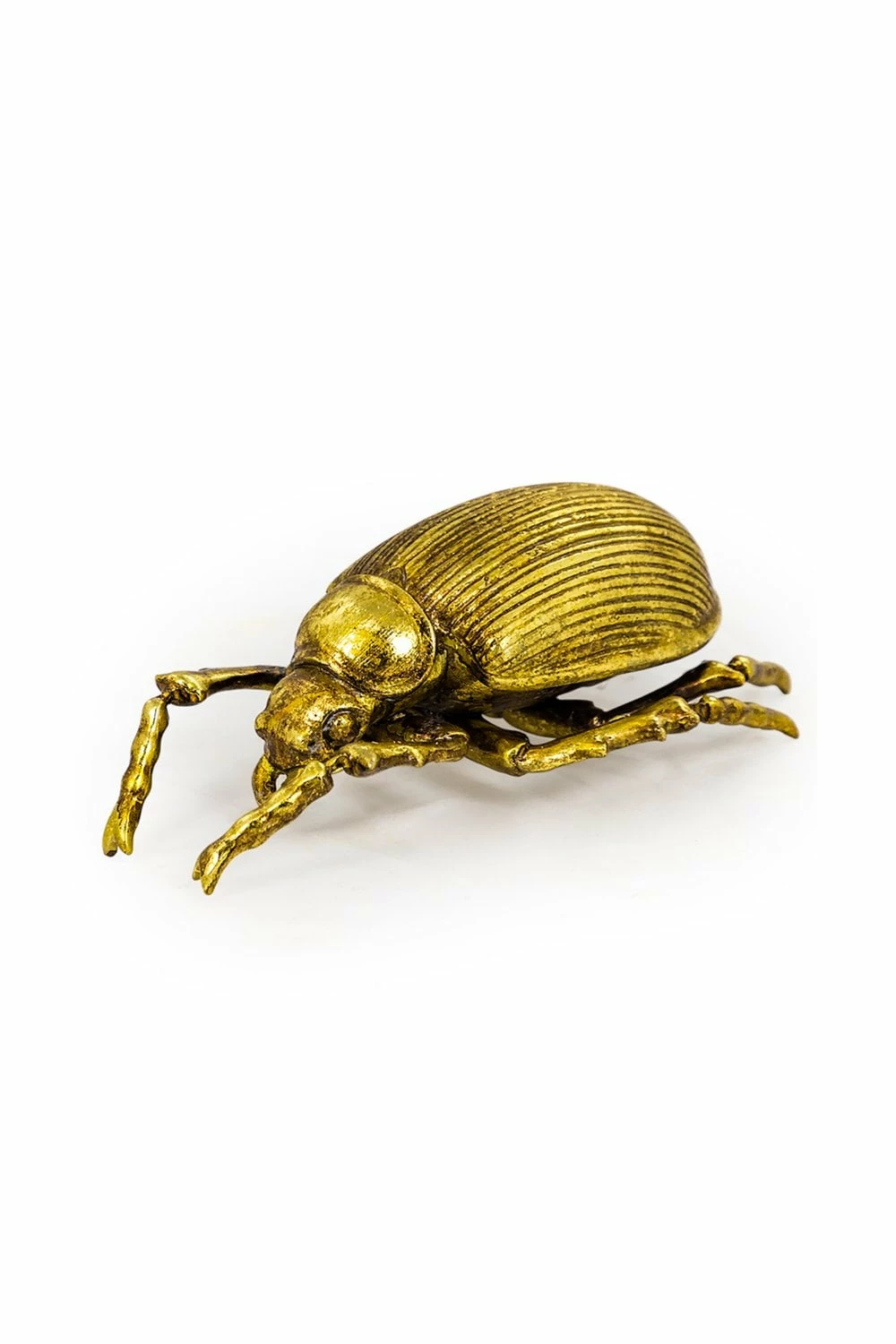 The Home Collection Large Gold Striped Beetle Wall Decor 4 The Home Collection Large Gold Striped Beetle Wall Decor