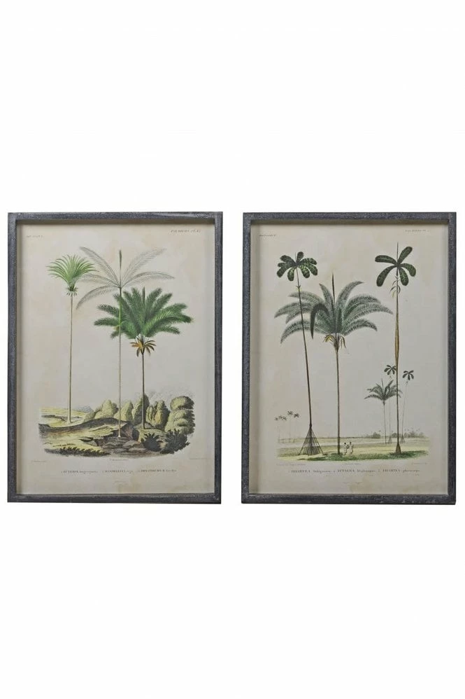 The Home Collection Set Of 2 Palm Tree Pictures 3 The Home Collection Set Of 2 Palm Tree Pictures