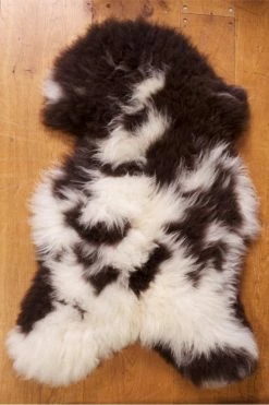 The Home Collection Multicolour Hill Sheep In Brown White