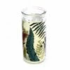 The Home Collection Scented Candle In Glass Fern Jar 2 The Home Collection Scented Candle In Glass Fern Jar