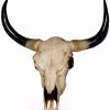 The Home Collection Extra Large Bison Skull Wall Head 1 The Home Collection Extra Large Bison Skull Wall Head