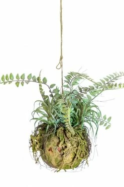 The Home Collection Ornamental Hanging Moss Ball With Ferns
