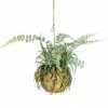 The Home Collection Ornamental Hanging Moss Ball With Ferns 2 The Home Collection Ornamental Hanging Moss Ball With Ferns