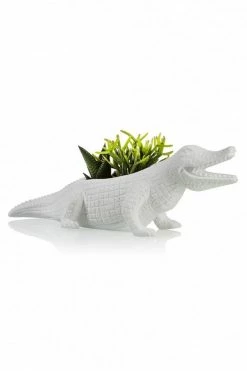 The Home Collection Crocodile Planter