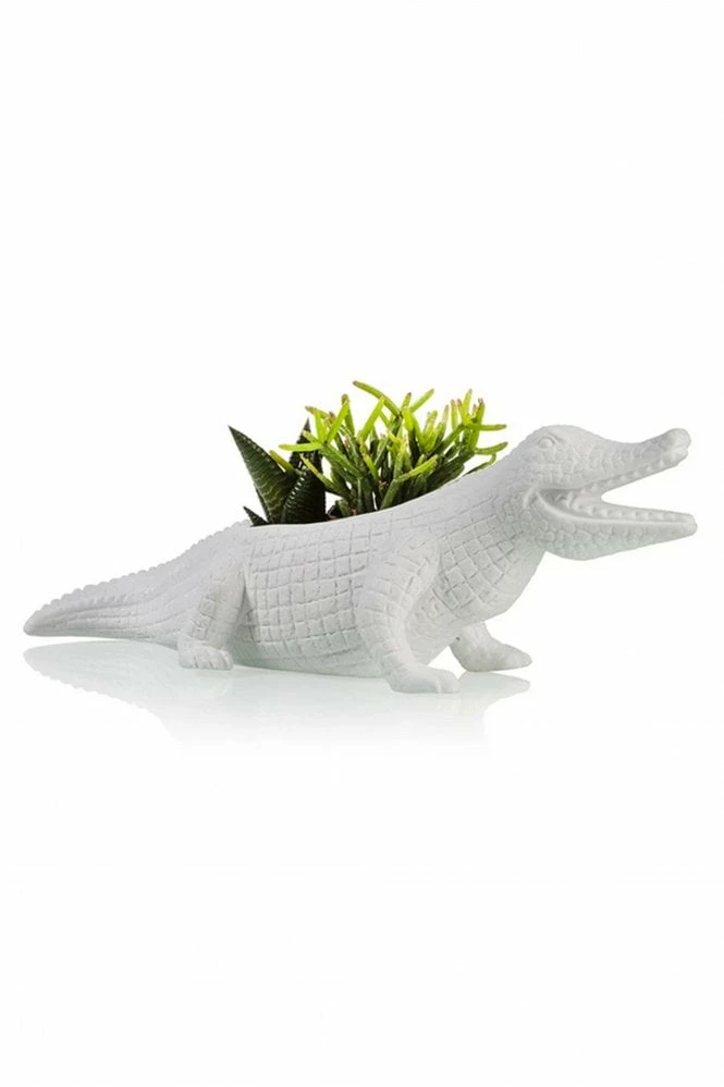 The Home Collection Crocodile Planter 3 The Home Collection Crocodile Planter
