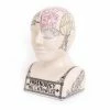 The Home Collection Large Crackle Phrenology Head 2 The Home Collection Large Crackle Phrenology Head